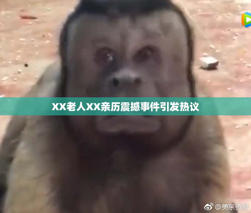 XX老人XX亲历震撼事件引发热议