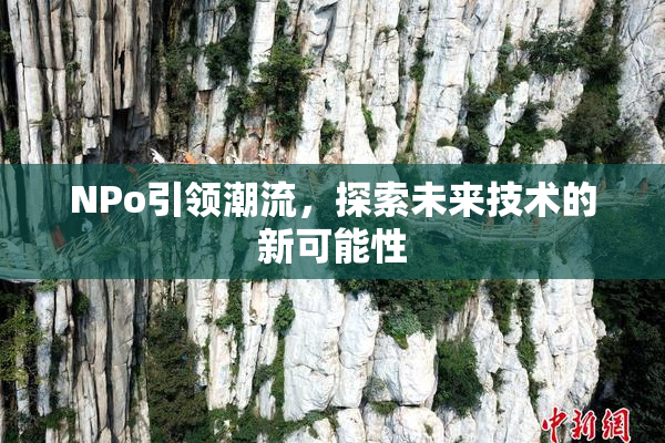 ΝPo引领潮流，探索未来技术的新可能性