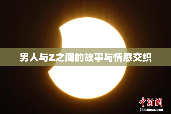 男人与Z之间的故事与情感交织