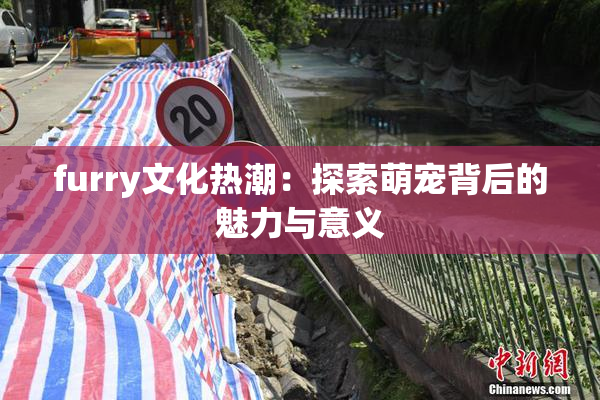furry文化热潮：探索萌宠背后的魅力与意义