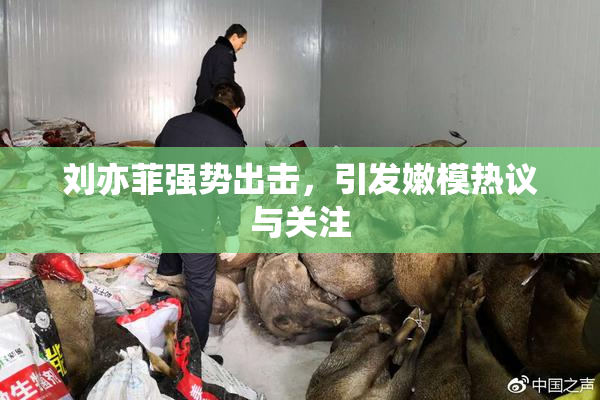 刘亦菲强势出击，引发嫩模热议与关注