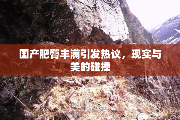 国产肥臀丰满引发热议，现实与美的碰撞