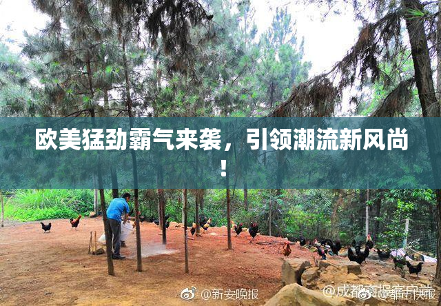 欧美猛劲霸气来袭，引领潮流新风尚！