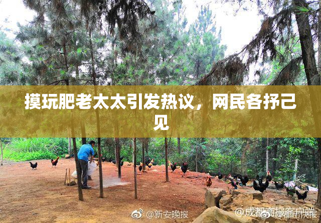 摸玩肥老太太引发热议，网民各抒己见
