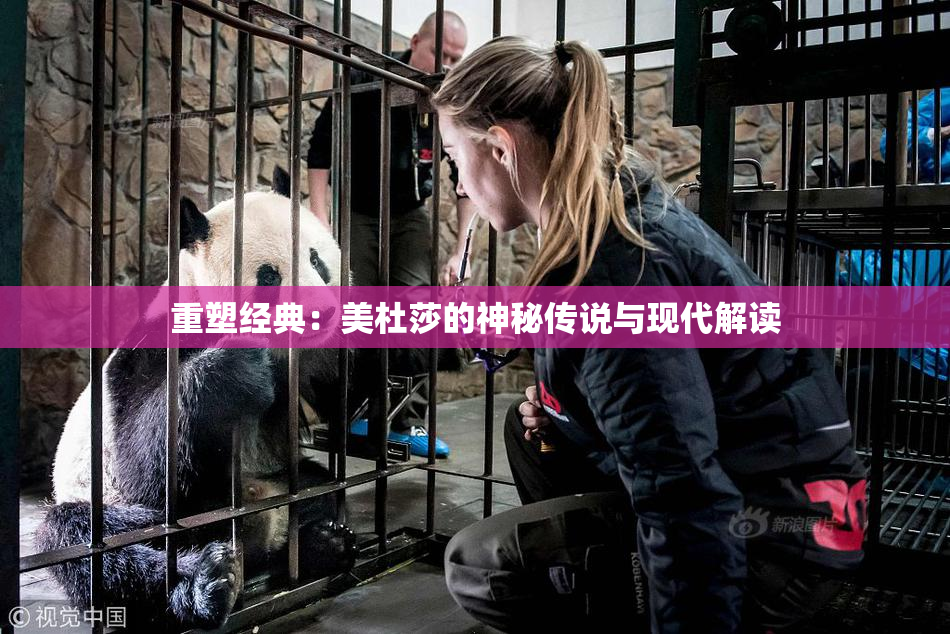 重塑经典：美杜莎的神秘传说与现代解读