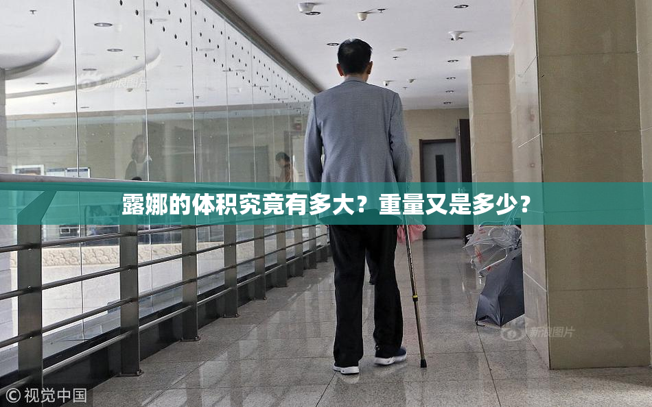 露娜的体积究竟有多大？重量又是多少？