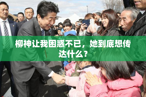 柳神让我困惑不已，她到底想传达什么？