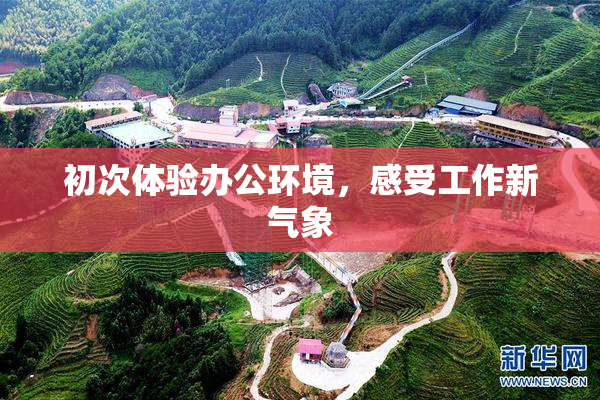 初次体验办公环境，感受工作新气象