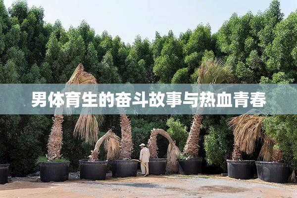 男体育生的奋斗故事与热血青春