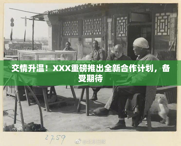 交情升温！XXX重磅推出全新合作计划，备受期待