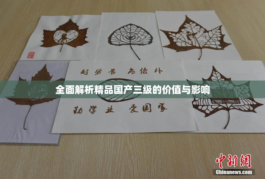 全面解析精品国产三级的价值与影响