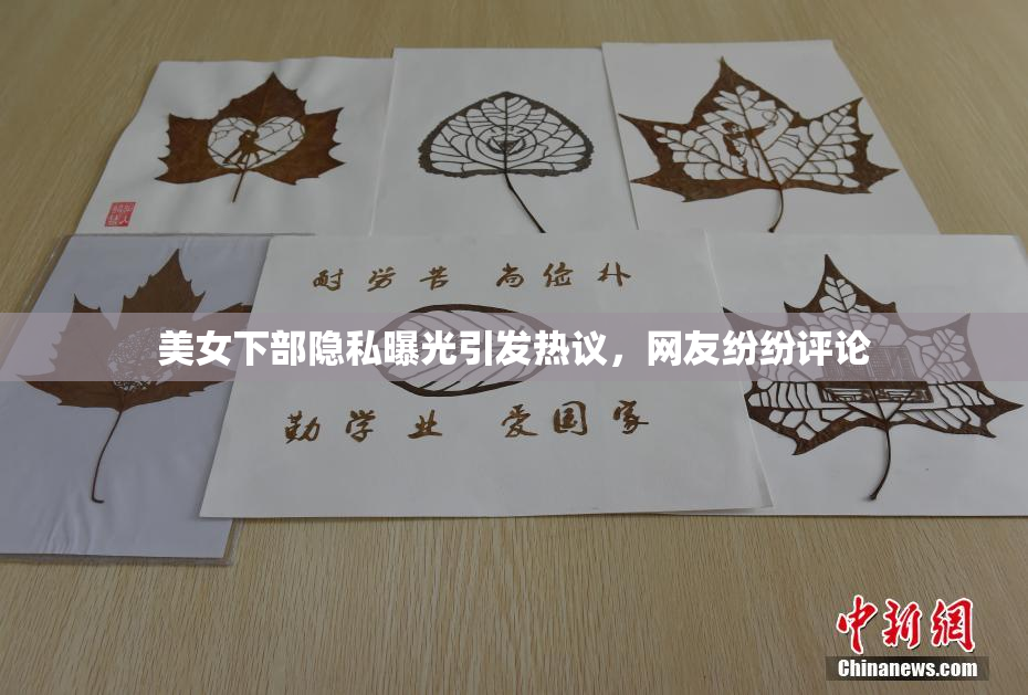 美女下部隐私曝光引发热议，网友纷纷评论