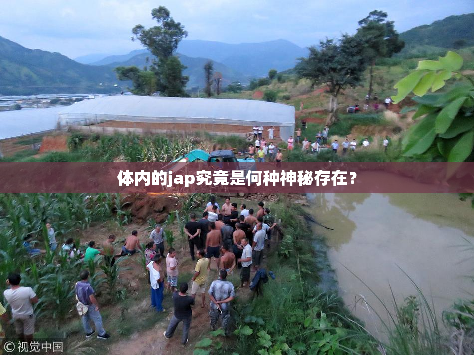 体内的jap究竟是何种神秘存在？