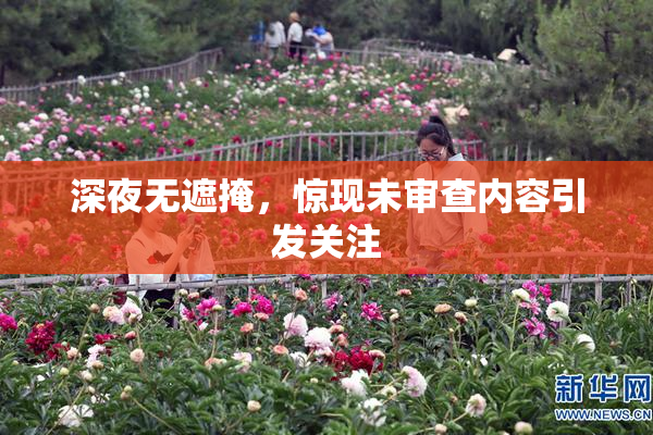 深夜无遮掩，惊现未审查内容引发关注
