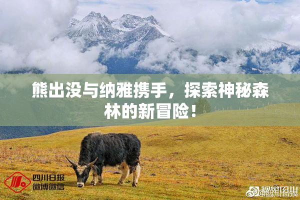 熊出没与纳雅携手，探索神秘森林的新冒险！