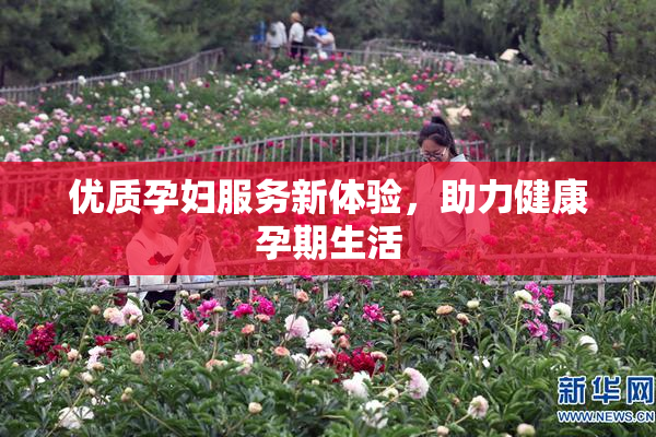 优质孕妇服务新体验，助力健康孕期生活