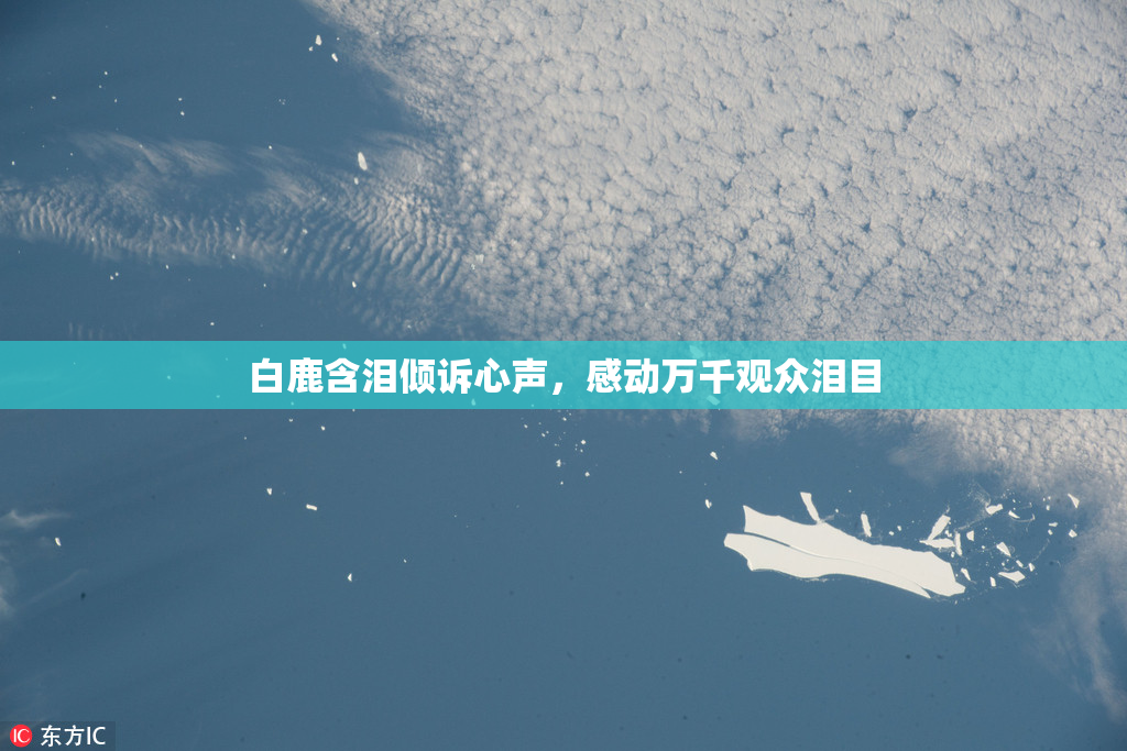 白鹿含泪倾诉心声，感动万千观众泪目