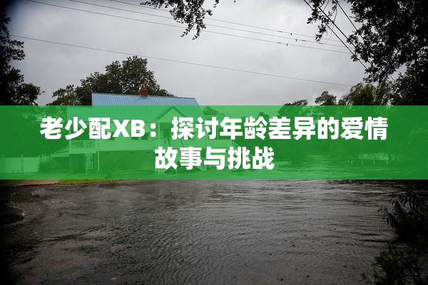 老少配XB：探讨年龄差异的爱情故事与挑战