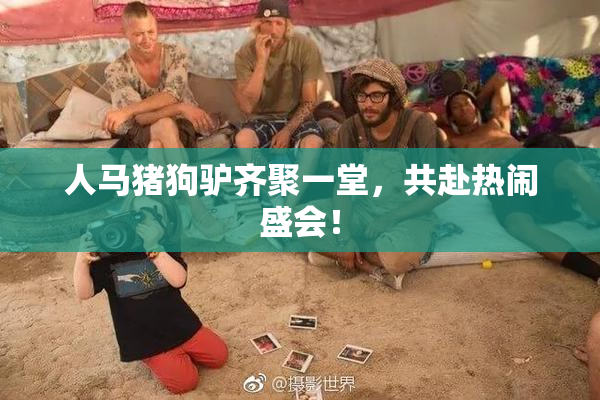 人马猪狗驴齐聚一堂，共赴热闹盛会！
