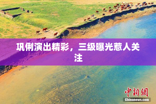 巩俐演出精彩，三级曝光惹人关注