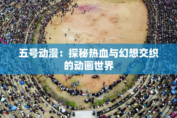五号动漫：探秘热血与幻想交织的动画世界