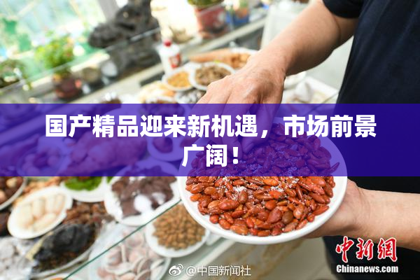 国产精品迎来新机遇，市场前景广阔！