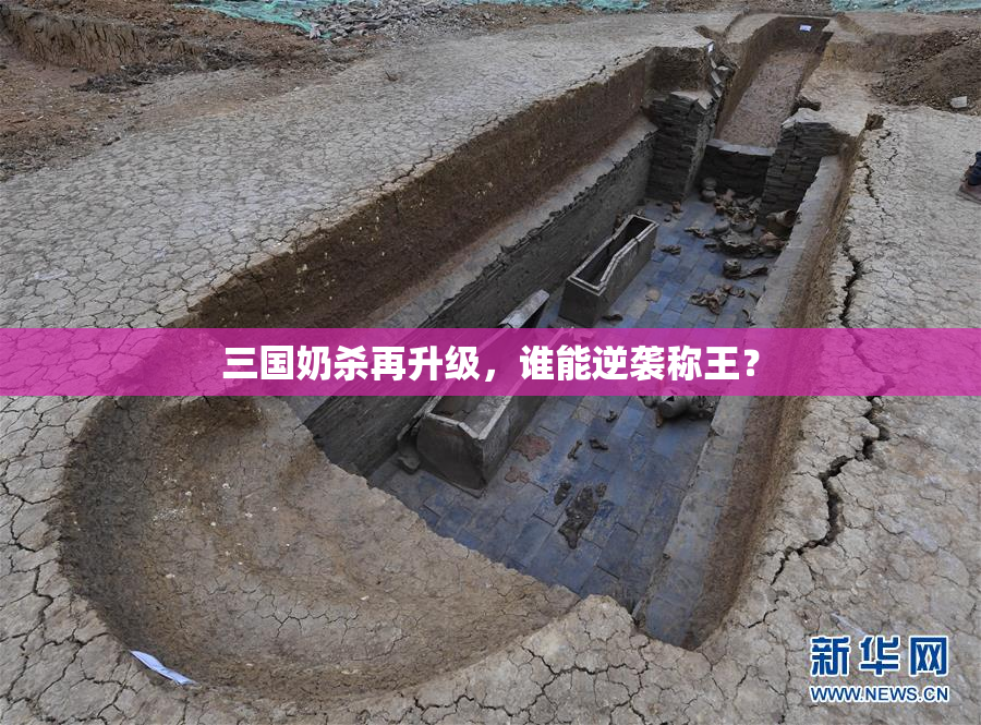 三国奶杀再升级，谁能逆袭称王？