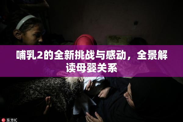 哺乳2的全新挑战与感动，全景解读母婴关系