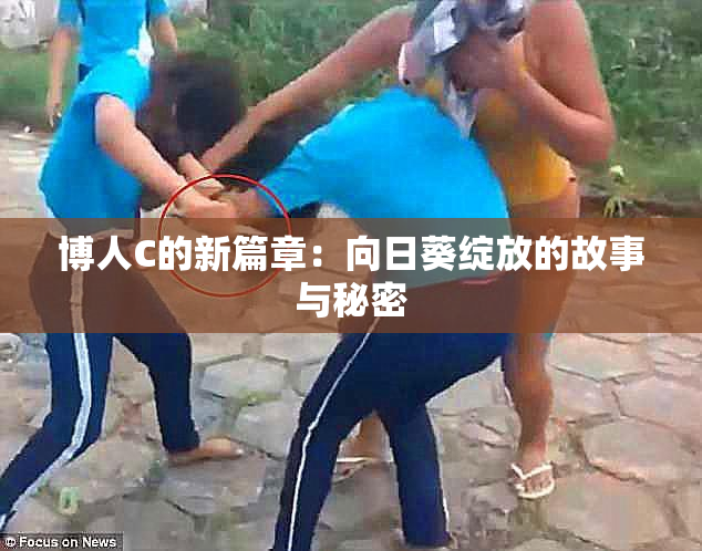 博人C的新篇章：向日葵绽放的故事与秘密