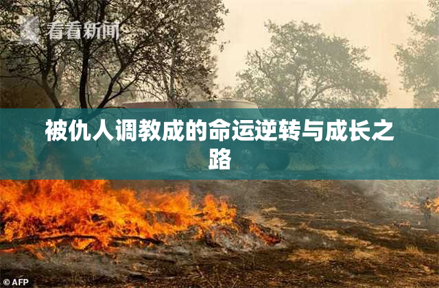 被仇人调教成的命运逆转与成长之路