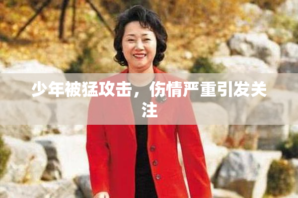 少年被猛攻击，伤情严重引发关注