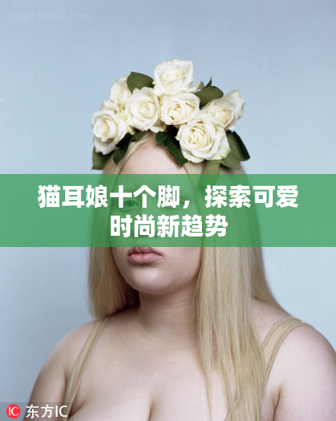 猫耳娘十个脚，探索可爱时尚新趋势