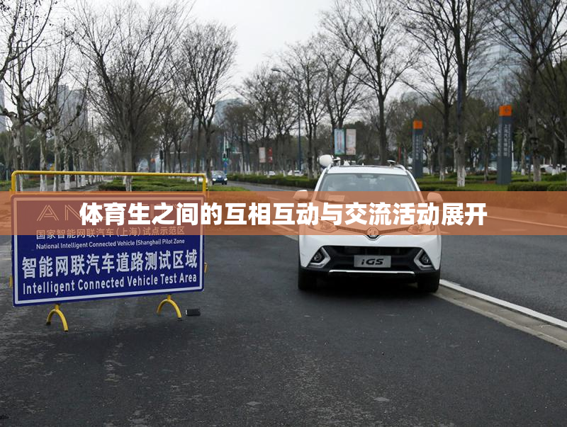 体育生之间的互相互动与交流活动展开