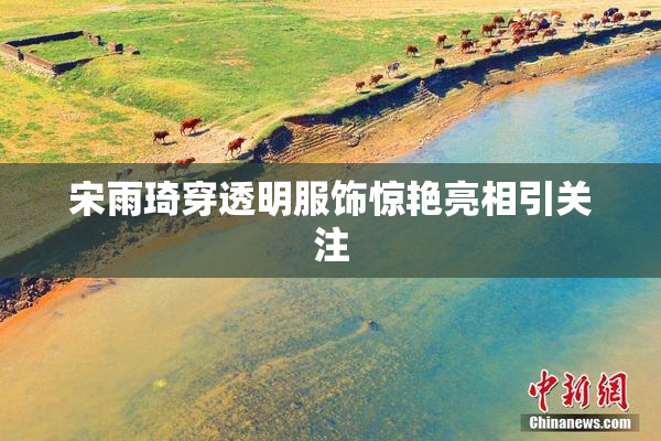 宋雨琦穿透明服饰惊艳亮相引关注