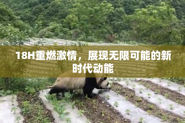 18H重燃激情，展现无限可能的新时代动能