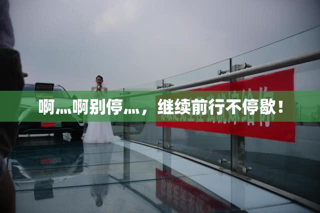 啊灬啊别停灬，继续前行不停歇！