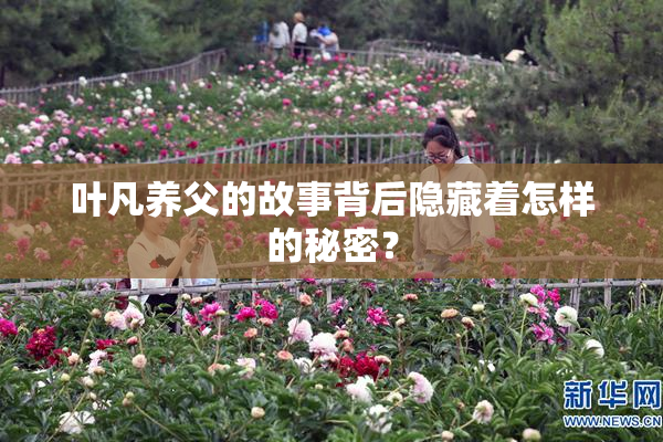 叶凡养父的故事背后隐藏着怎样的秘密？