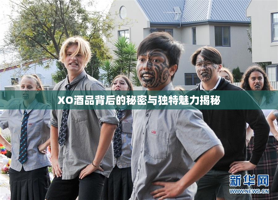 XO酒品背后的秘密与独特魅力揭秘