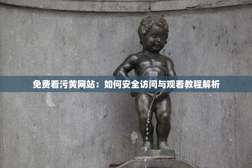 免费看污黄网站：如何安全访问与观看教程解析
