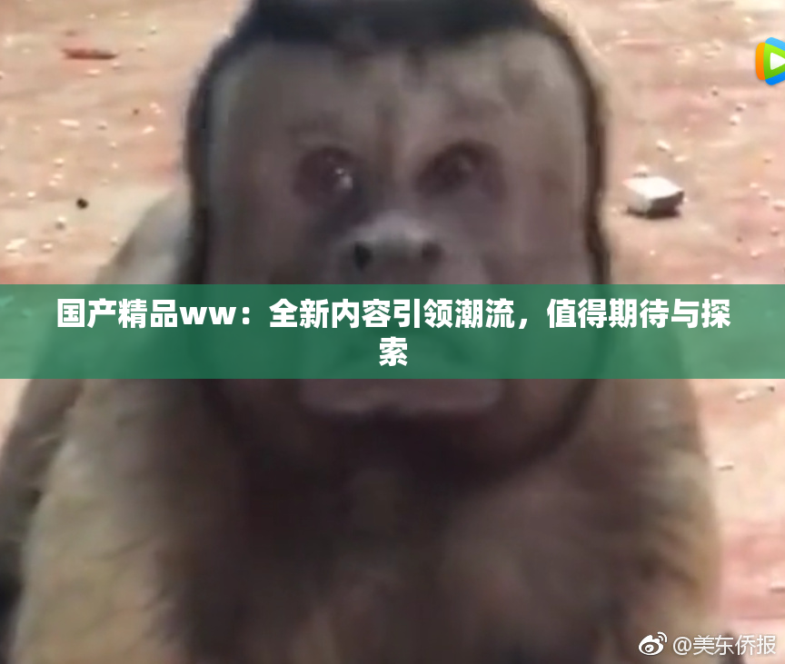 国产精品ww：全新内容引领潮流，值得期待与探索