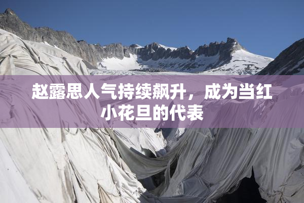 赵露思人气持续飙升，成为当红小花旦的代表