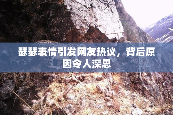 瑟瑟表情引发网友热议，背后原因令人深思