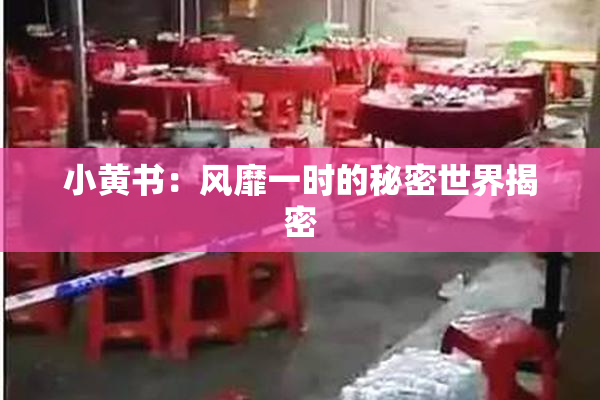 小黄书：风靡一时的秘密世界揭密