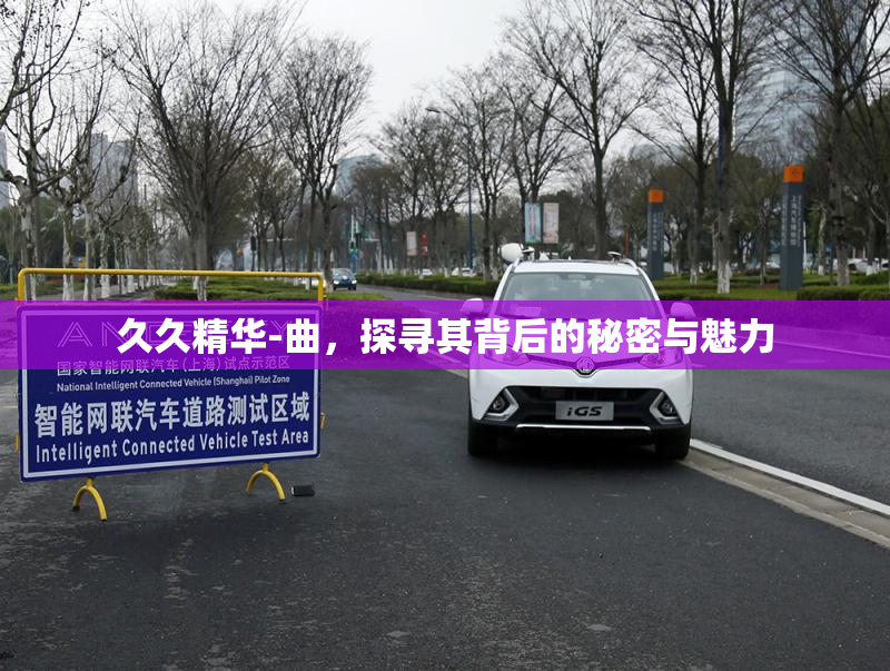 久久精华-曲，探寻其背后的秘密与魅力