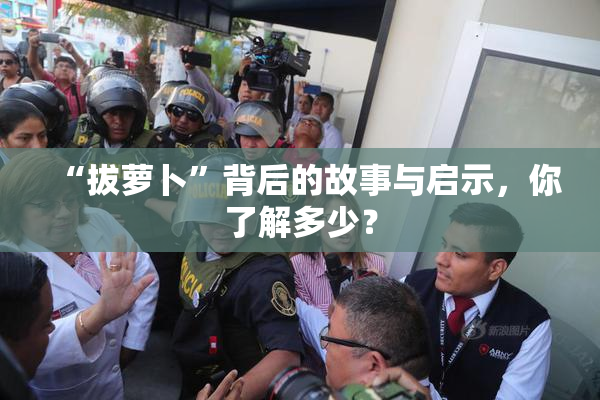 “拔萝卜”背后的故事与启示，你了解多少？