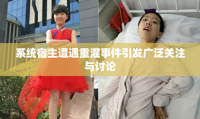 系统宿主遭遇重灌事件引发广泛关注与讨论