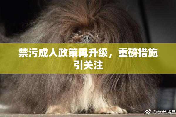 禁污成人政策再升级，重磅措施引关注