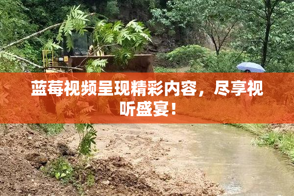 蓝莓视频呈现精彩内容，尽享视听盛宴！