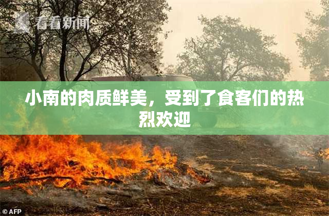 小南的肉质鲜美，受到了食客们的热烈欢迎