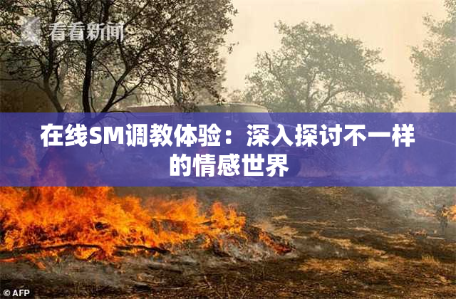 在线SM调教体验：深入探讨不一样的情感世界